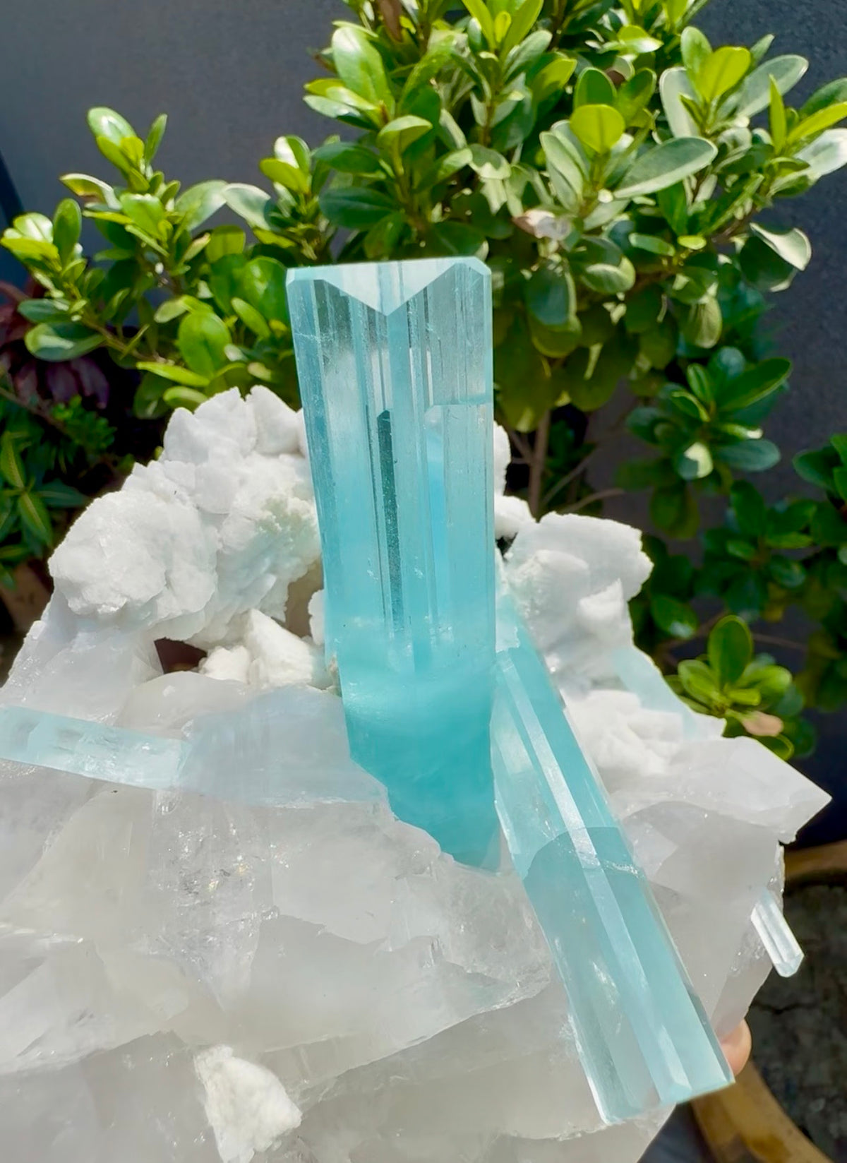 Museum Grade Aquamarine specimen with Quartz and Feldspar from Pakistan, 1696 gram