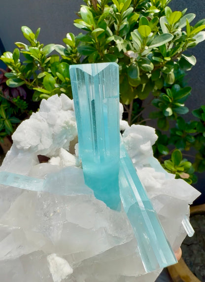 Museum Grade Aquamarine specimen with Quartz and Feldspar from Pakistan, 1696 gram