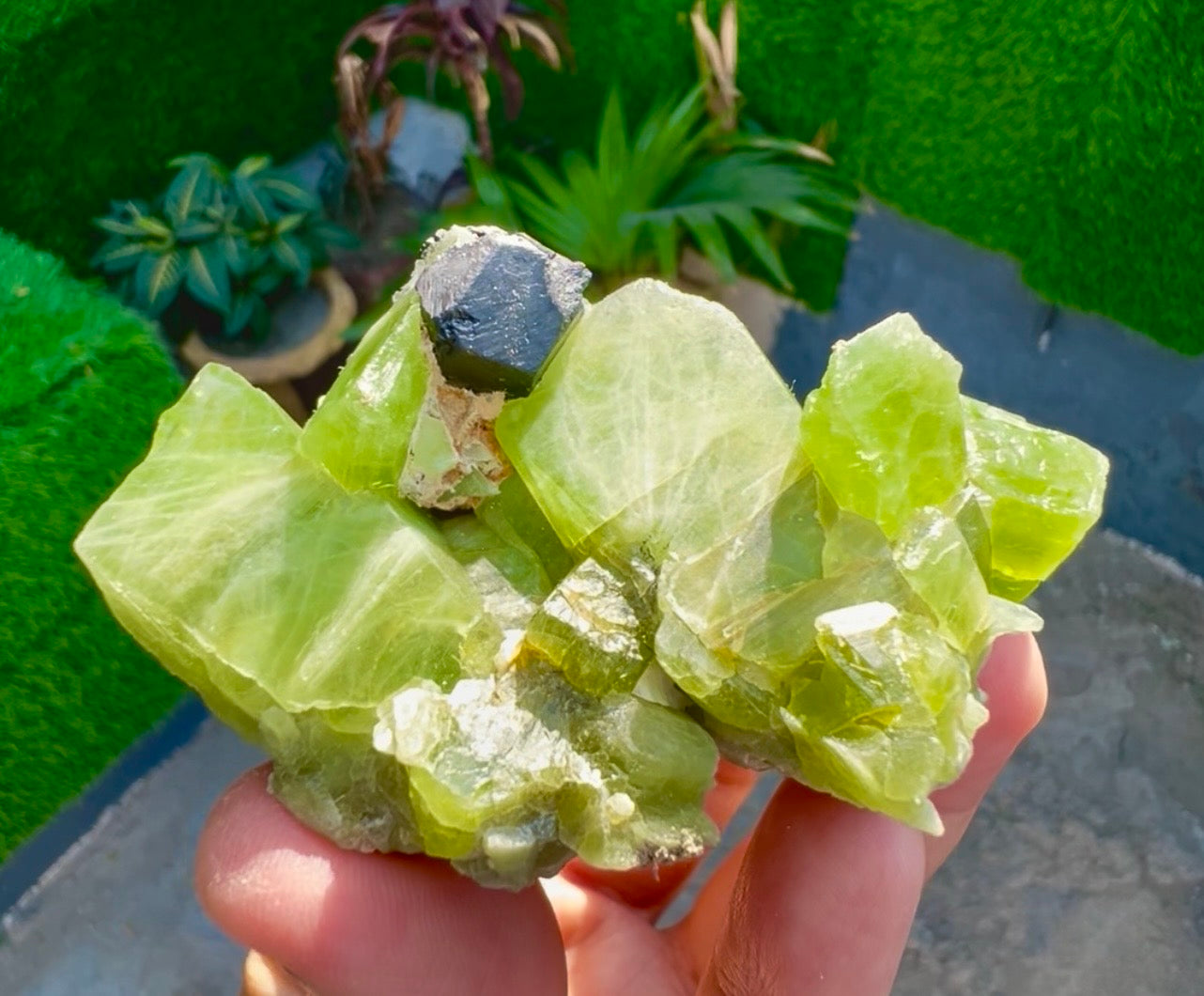 Peridot Crystals with Magnetite from Pakistan, 115 gram