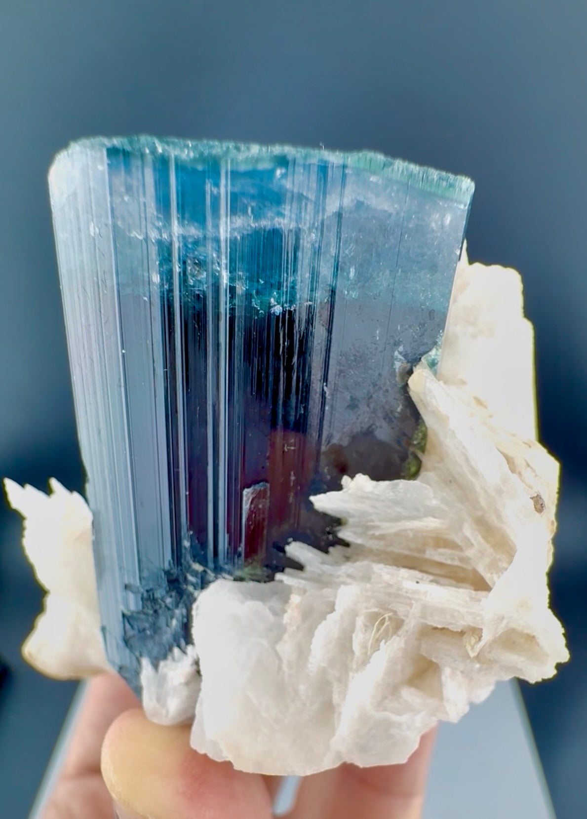 Blue Cap Tourmaline with Cleavlandite Albite from Afghanistan, 310 gran