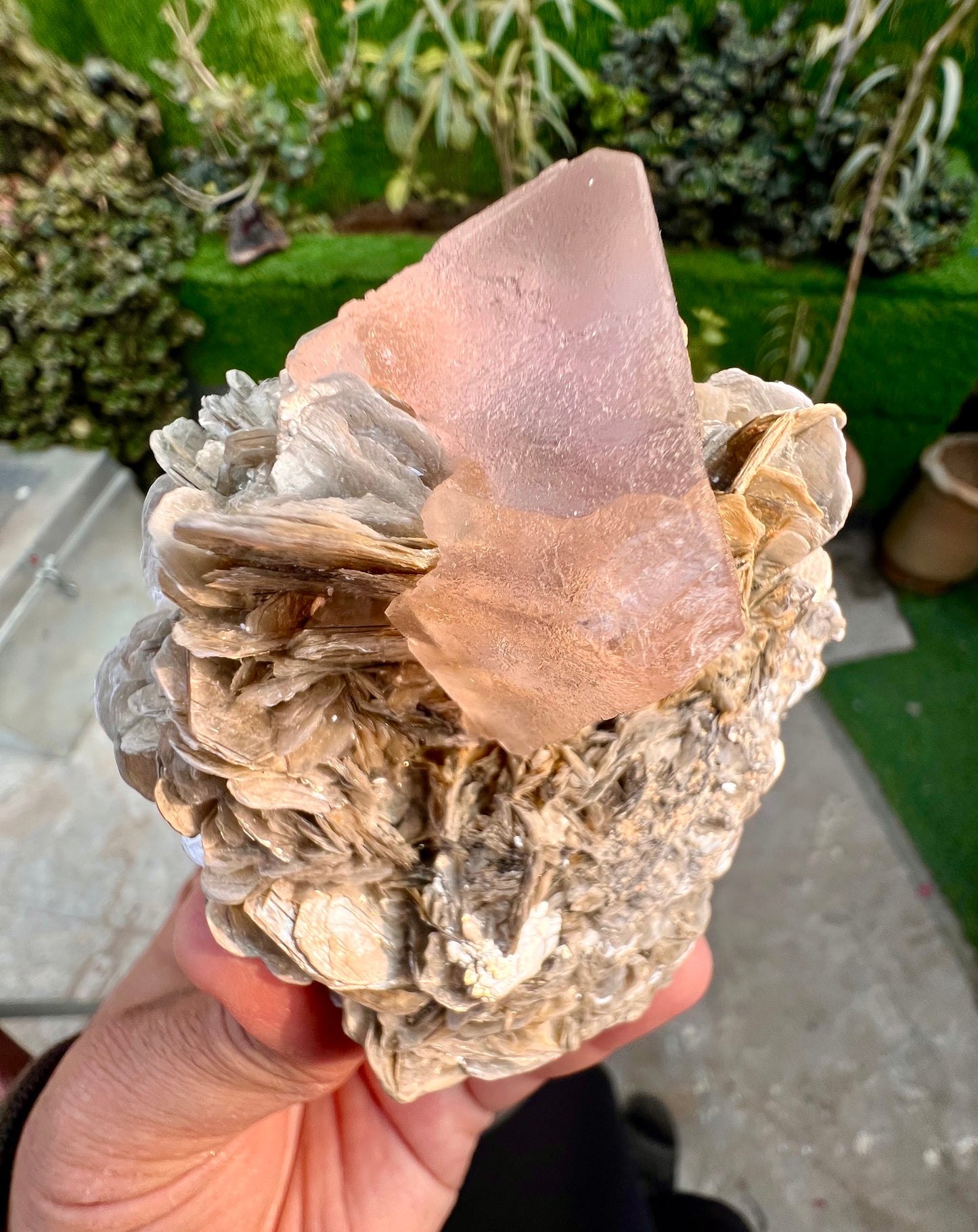 Pink Fluorite crystal on Mica, Fluorite Specimen from Pakistan, 355 Gram
