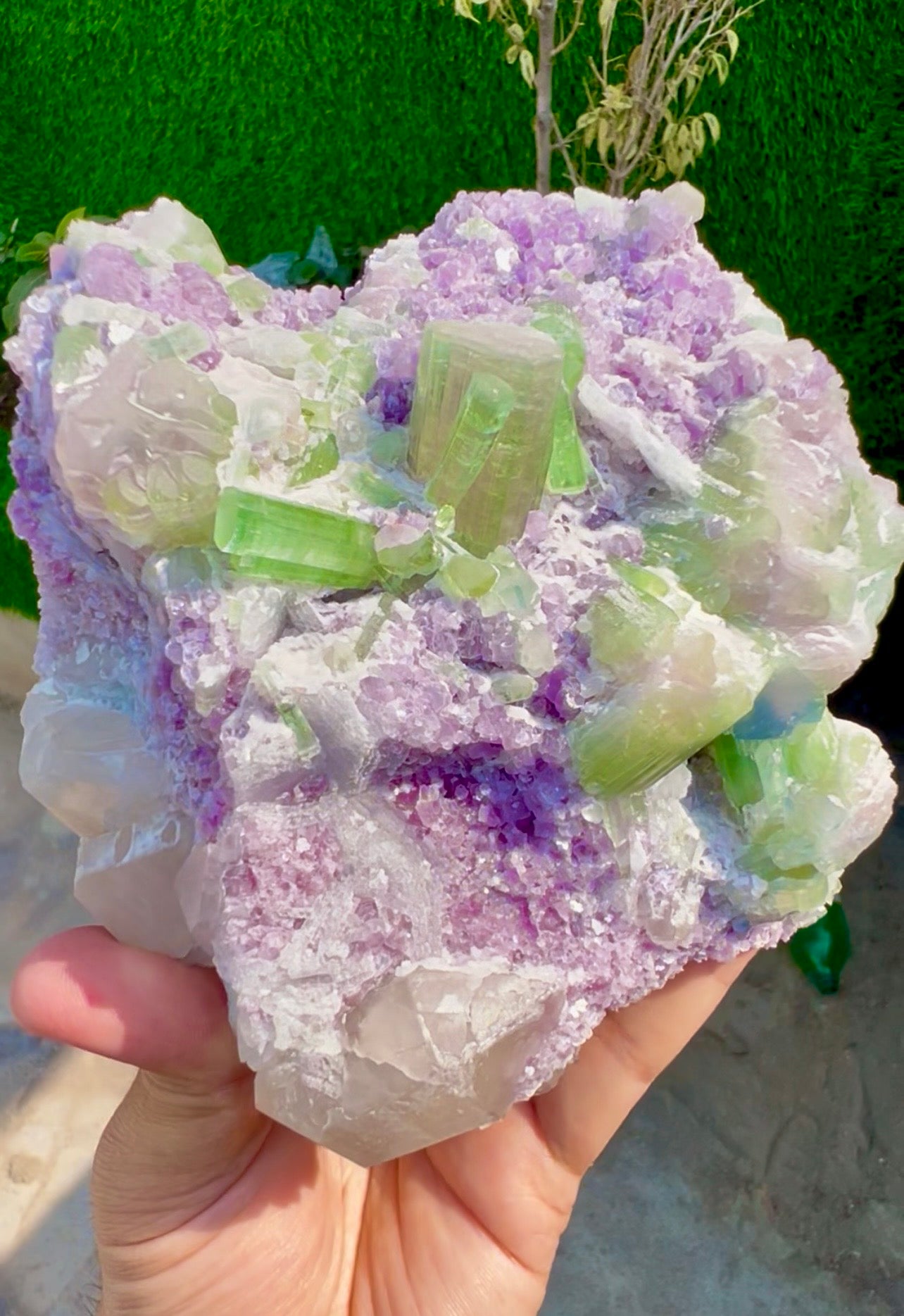 Watermelon Tourmaline Crystals with Lepidolite and Quartz from Paprok, 1300 gram