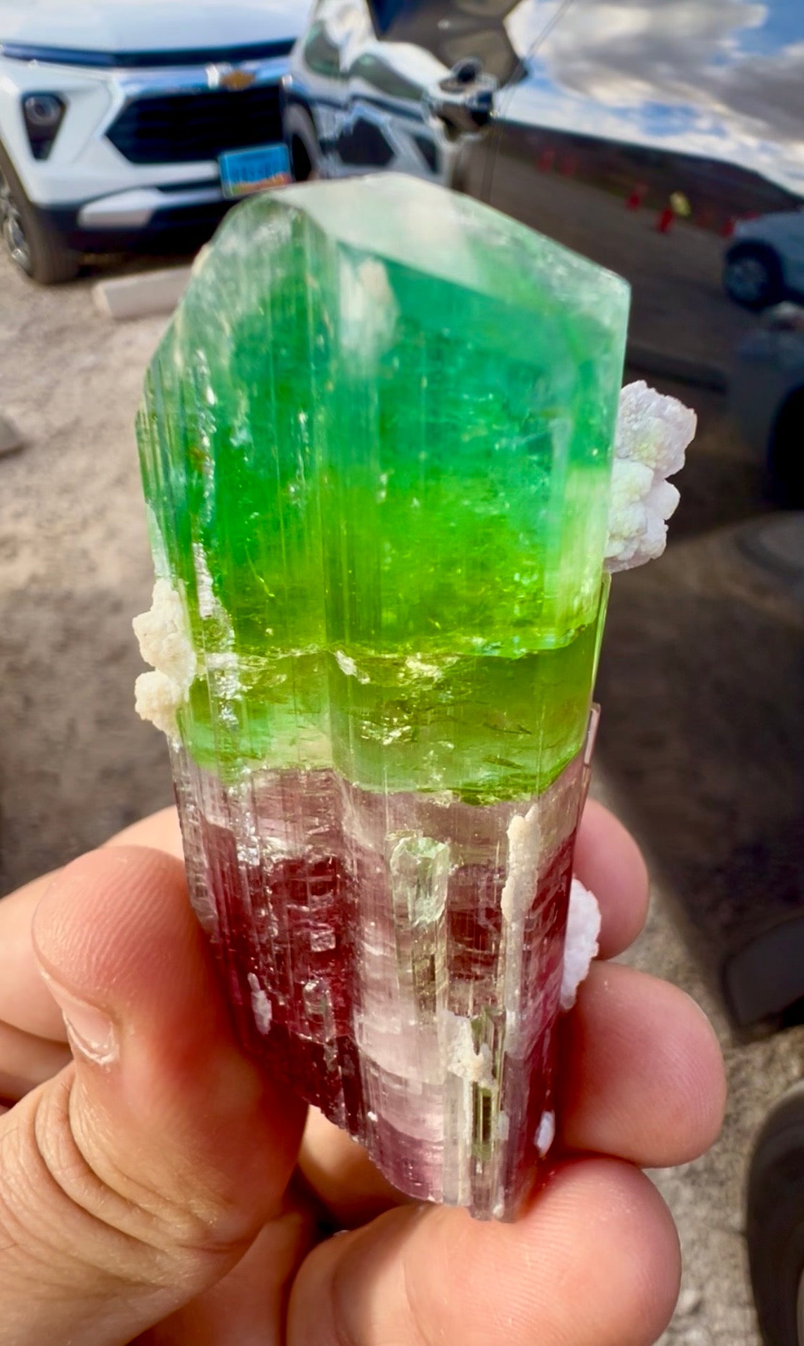 Watermelon Tourmaline Crystal with Lepidolite and Microlite from Paprok, 78 gram