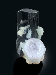 Bicolor Beryl on Schorl, Morganite var Aquamarine Crystal with Black Tourmaline, Mineral Specimen, 91 gram