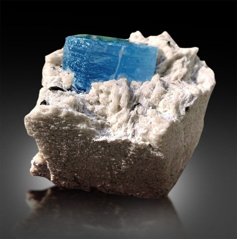 reserved auamarine