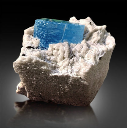 reserved auamarine