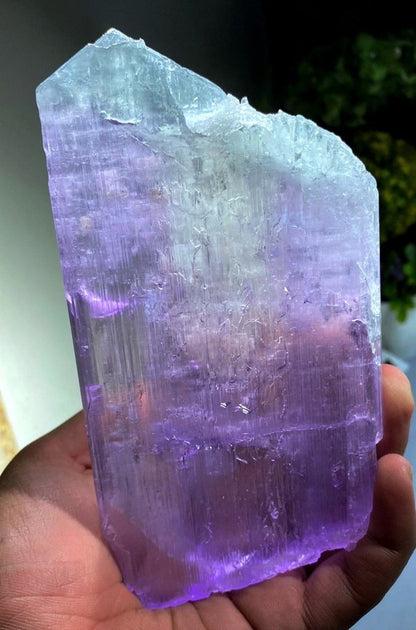 Bicolor Kunzite, Kunzite Crystal, Natural Kunzite, Healing Crystal Kunzite Gemstone, Kunzite Stone From Afghanistan 624 Gram , 165*86*17 mm