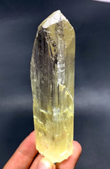 Natural Yellow Kunzite Crystal, Triphane Crystal, Kunzite Specimen, Spodumene Kunzite, Mineral Specimen, Crystal Specimen, 234 g