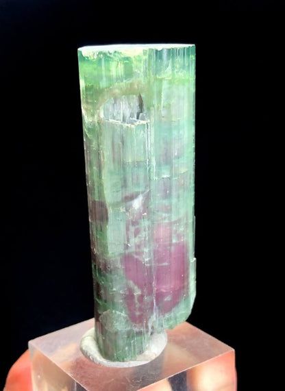 Tourmaline Crystal, Bicolor Tourmaline, Tourmaline for sale, Terminated Tourmaline crystal, Paprok Tourmaline, Raw Tourmaline, 44 gram