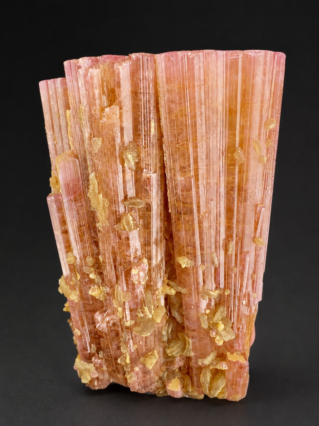 Orange Pink Tourmaline Crystal with Lepidolite Mica from Afghanistan, 316 gram