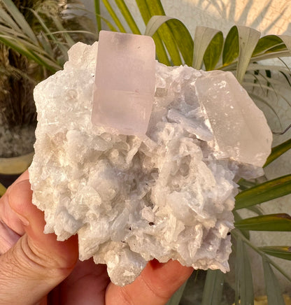 Morganite crysal with Quartz and Cleavlandite Albite from Afghanistan, 125 gram