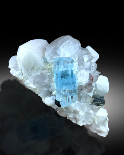 Collector grade aquamarine specimen from Pakistan
Aquamarine crystal lighting and transparency detail
Natural terminated crystal free of chips or damage
Self standing aquamarine schorl specimen full view
516 gram aquamarine crystal complete profile
