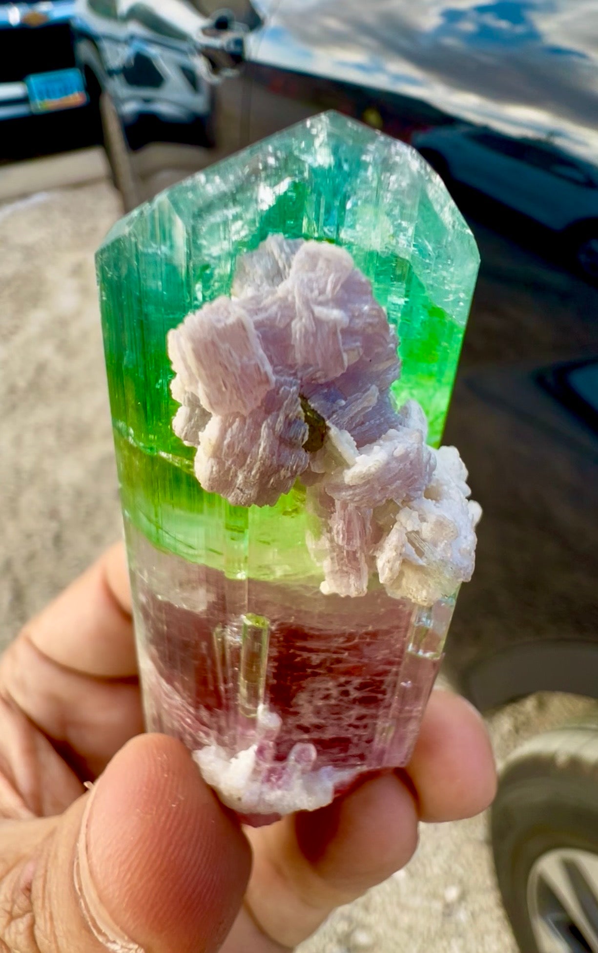 Watermelon Tourmaline Crystal with Lepidolite and Microlite from Paprok, 78 gram
