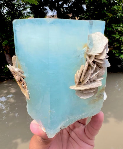 Aquamarine crystal with Muscovite Mica from Pakistan, 1433 gram