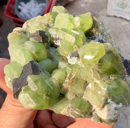 Peridot Crystals with Magnetite from Pakistan, 203 gram