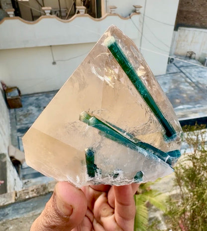 Indicolite Tourmaline on Smoky Quartz from Afghanistan, 677 gram