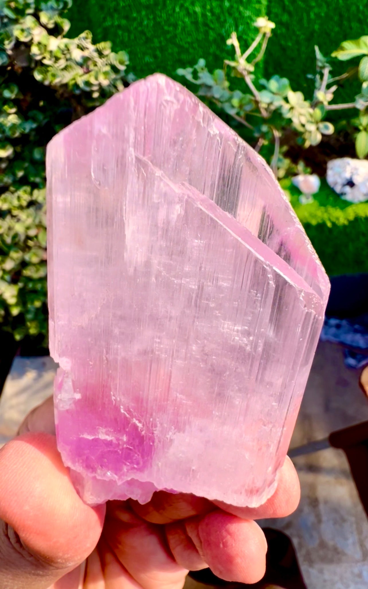 Pink Kunzite Crystal from Afghanistan, 160 gram