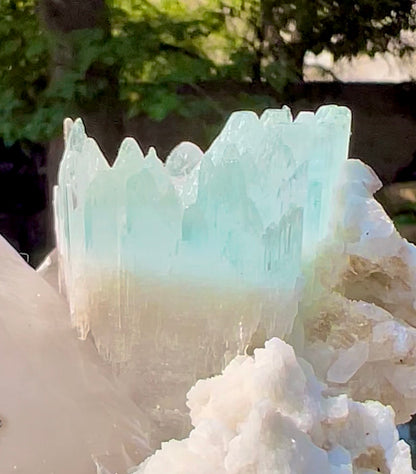 AquaMorganite crystal with Quartz and Albite from Pakistan, 1465 grams
