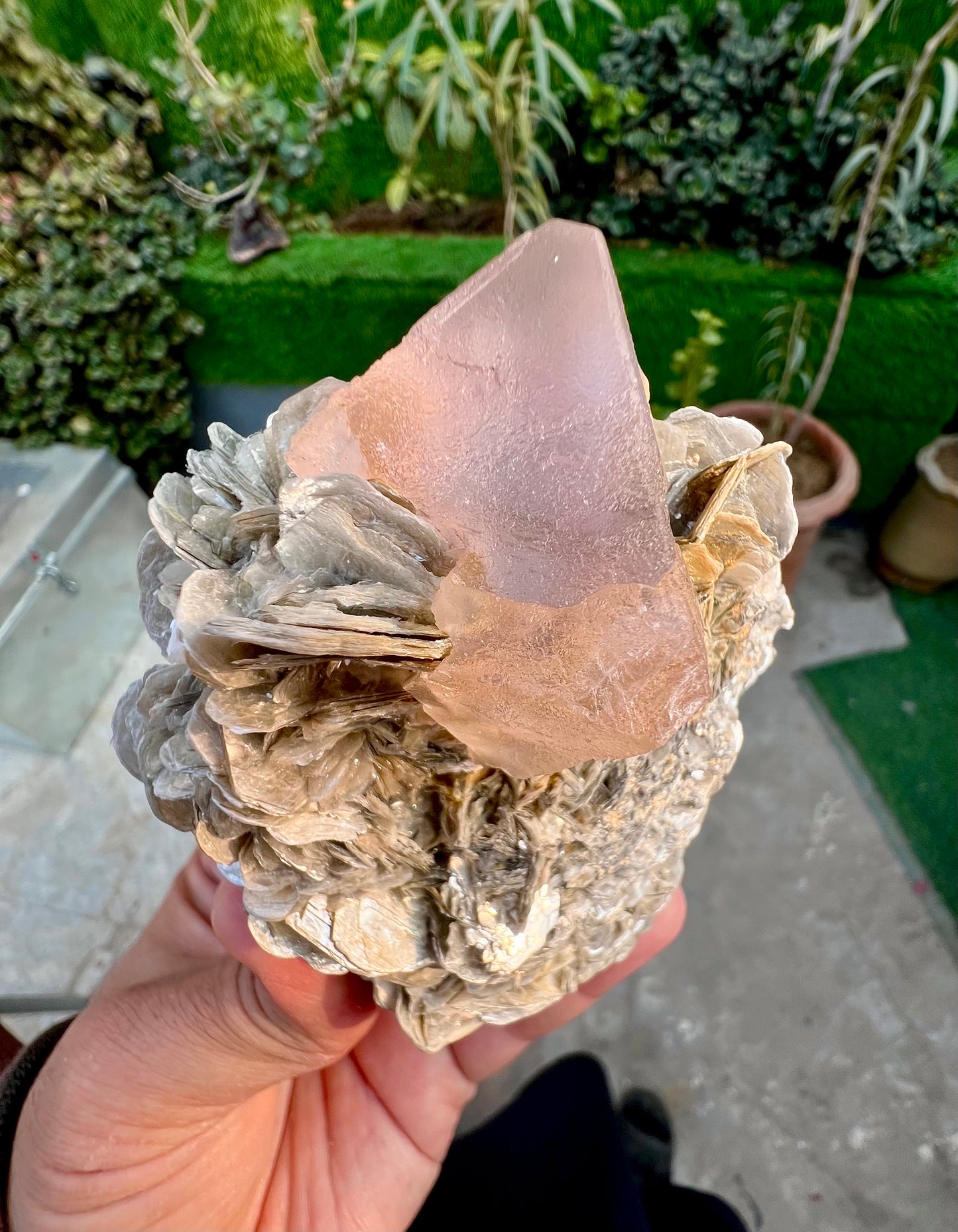 Pink Fluorite crystal on Mica, Fluorite Specimen from Pakistan, 355 Gram