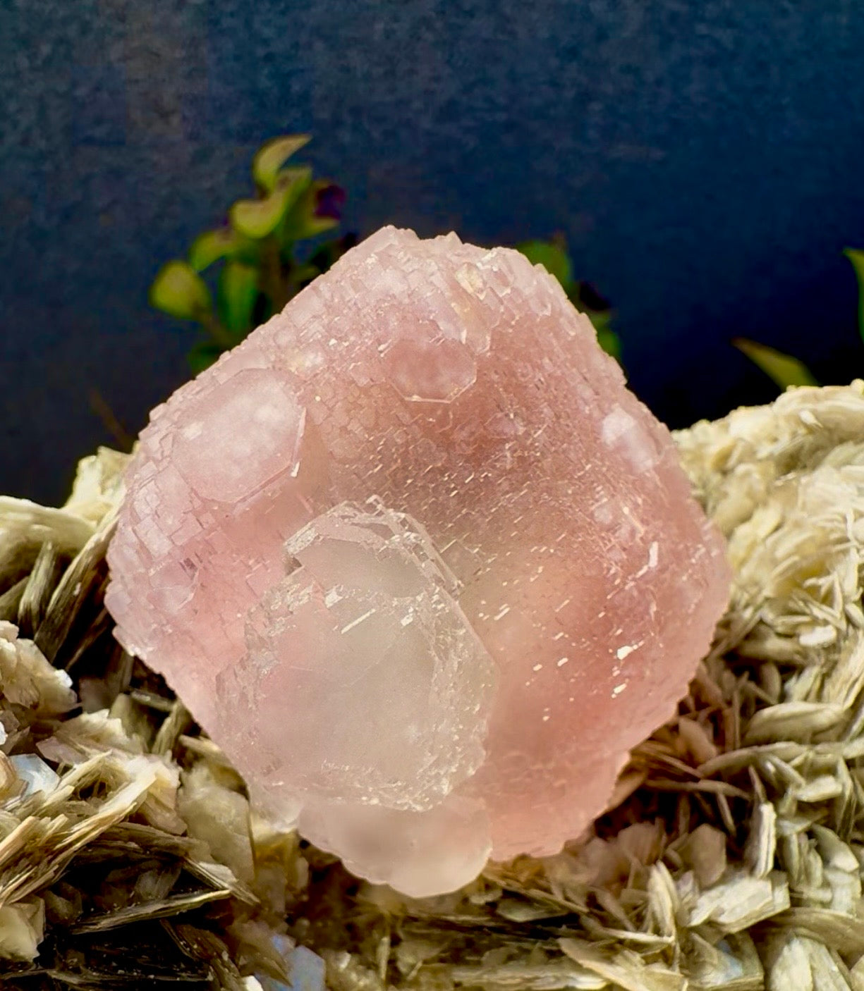 Pink Fluorite on Mica from Pakistan , 1436 gram