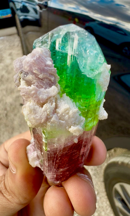 Watermelon Tourmaline Crystal with Lepidolite and Microlite from Paprok, 78 gram