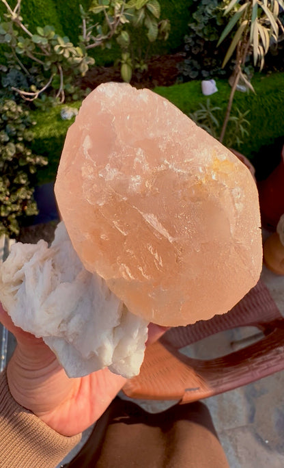Morganite with Mica and Albite from Afghanistan, 699 gram