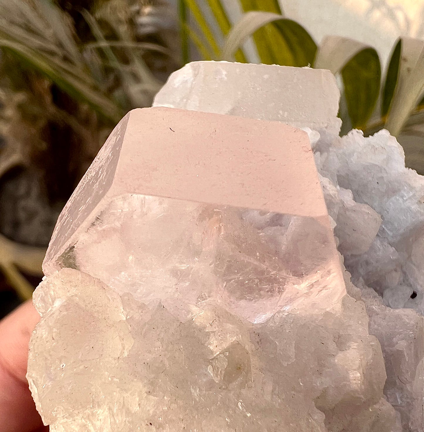 Morganite crysal with Quartz and Cleavlandite Albite from Afghanistan, 125 gram