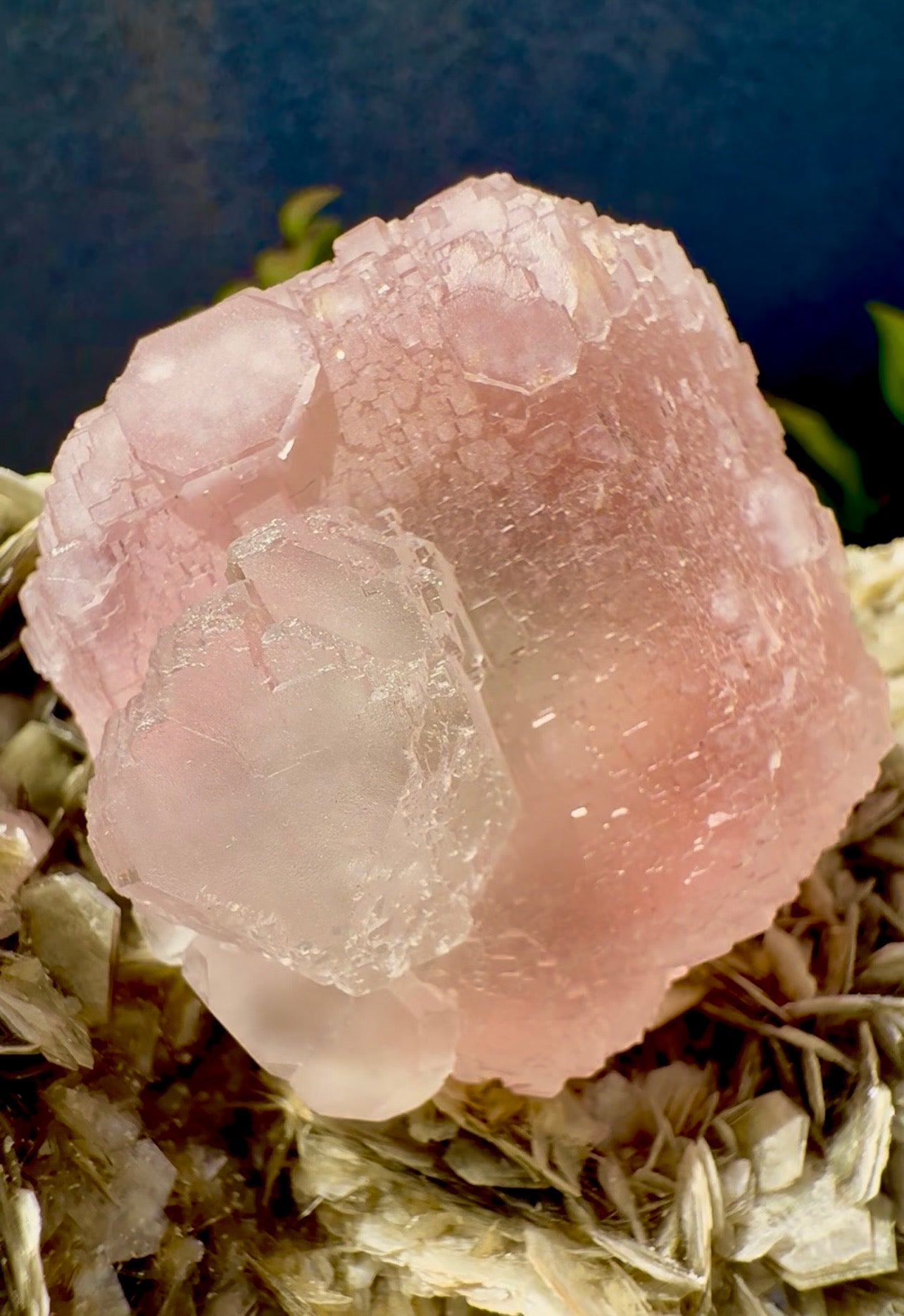 Pink Fluorite on Mica from Pakistan , 1436 gram
