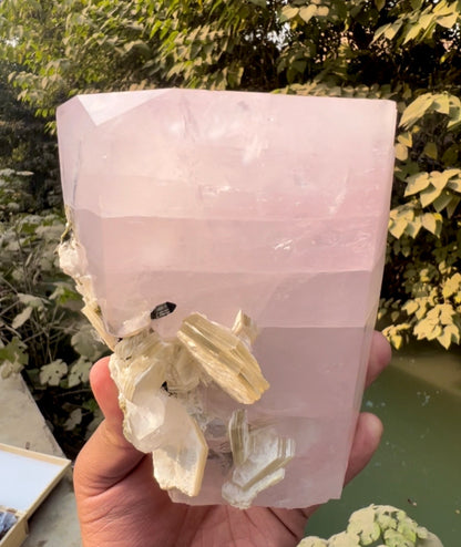 Pink Morganite crystal with Tourmalines and Mica from Pakistan, 2339 gram