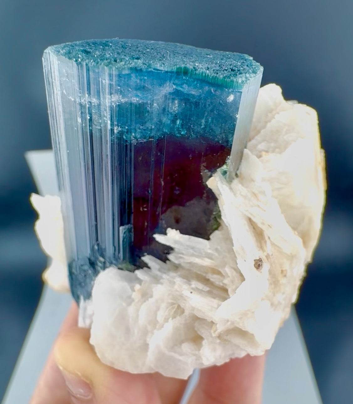 Blue Cap Tourmaline with Cleavlandite Albite from Afghanistan, 310 gran
