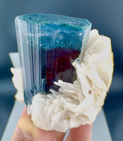 Blue Cap Tourmaline with Cleavlandite Albite from Afghanistan, 310 gran