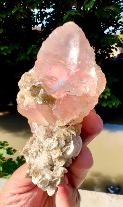 Pink Fluorite on Mica from Pakistan - 401 gram