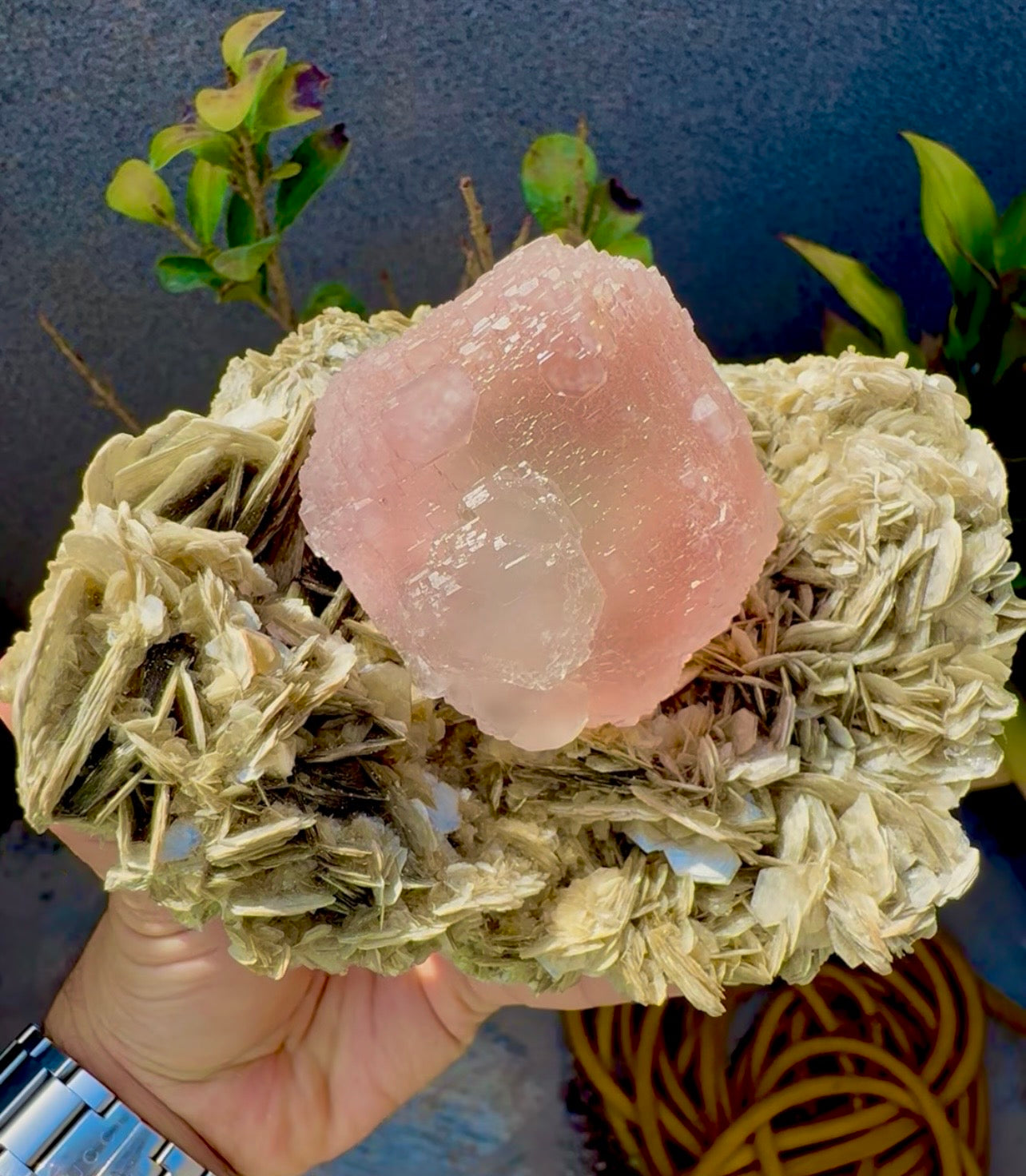 Pink Fluorite on Mica from Pakistan , 1436 gram