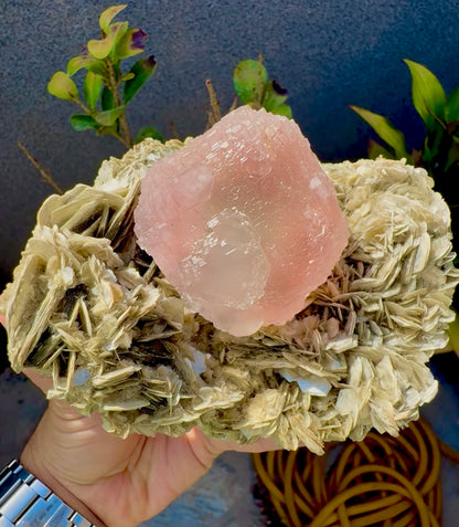 Pink Fluorite on Mica from Pakistan , 1436 gram