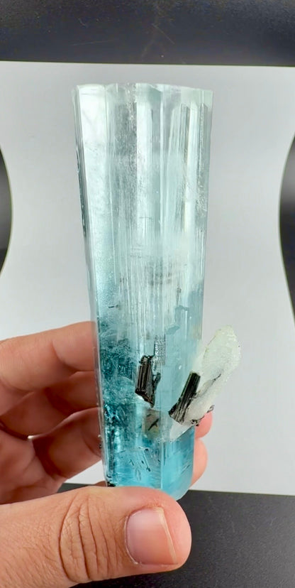 Aquamarine Crystal with Schorl from Pakistan, 160 Gram