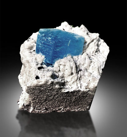 reserved auamarine