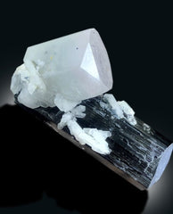 Bicolor Beryl on Schorl, Morganite var Aquamarine Crystal with Black Tourmaline, Mineral Specimen, 91 gram