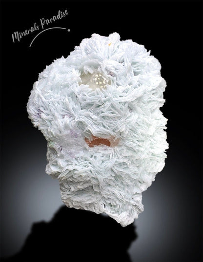 Natural Morganite Specimen with Microlite, Quartz and Cleavlandite Albite, Morganite Crystal from Afghanistan, 2063 gram