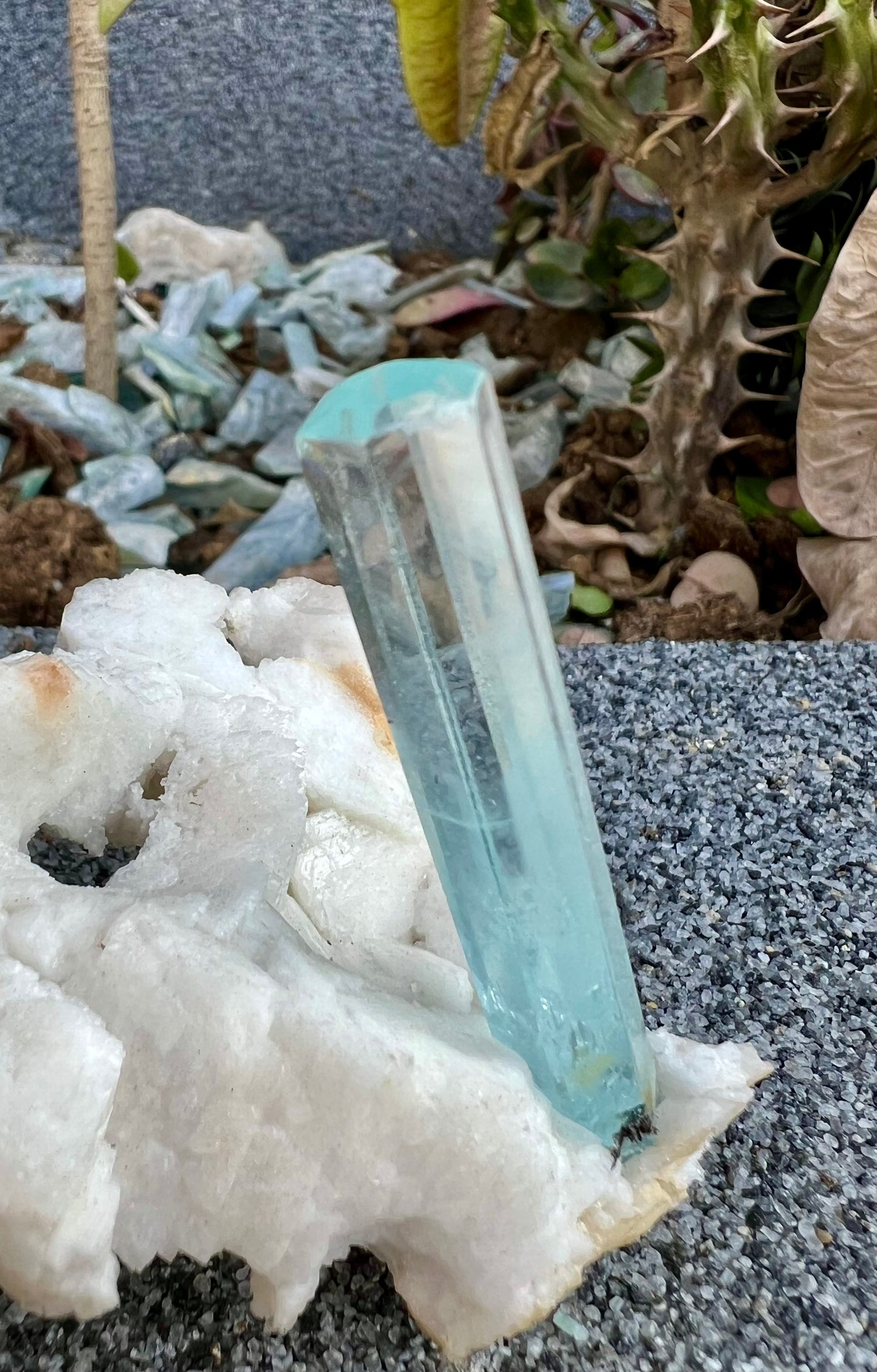 Aquamarine crystal on Albite from Pakistan, 107 gram