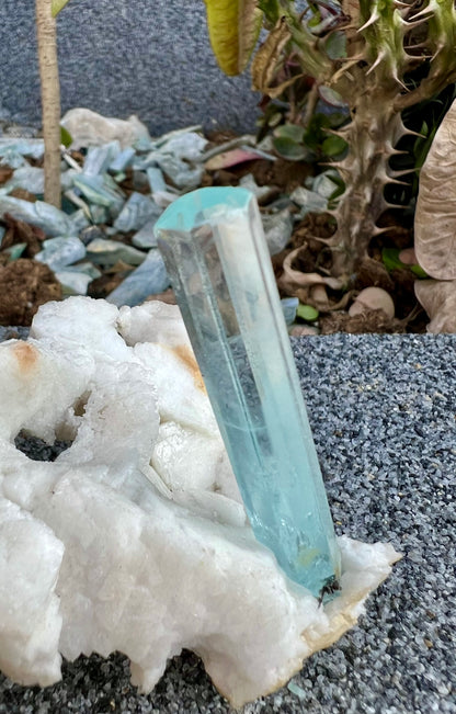 Aquamarine crystal on Albite from Pakistan, 107 gram