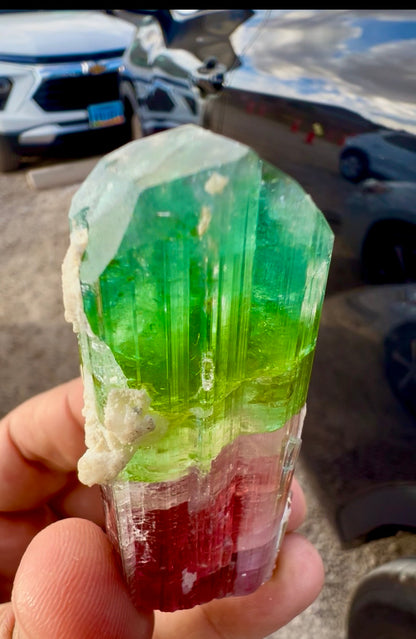 Watermelon Tourmaline Crystal with Lepidolite and Microlite from Paprok, 78 gram