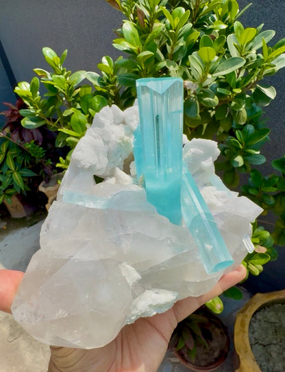 Museum Grade Aquamarine specimen with Quartz and Feldspar from Pakistan, 1696 gram