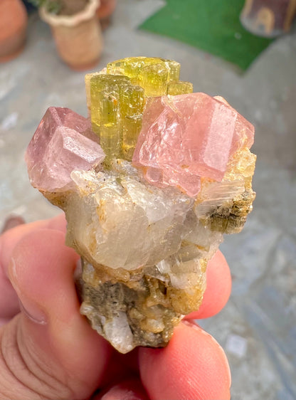 Pink Apatite crystals on Tourmaine from Pakistan, 28 gram
