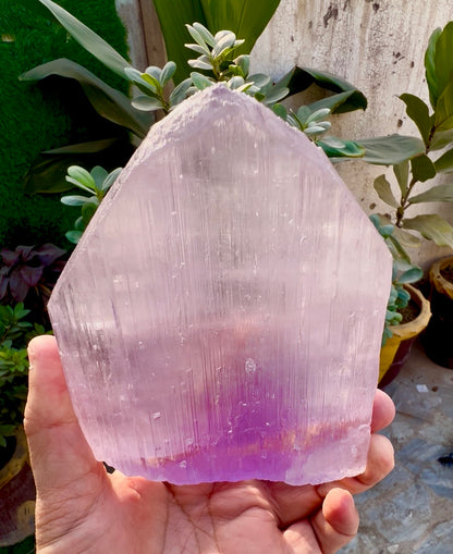Pink Kunzite Crystal from Afghanistan, 854 gram
