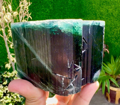 Blue Cap Tourmaline crystal from Afghanistan, 940 gram