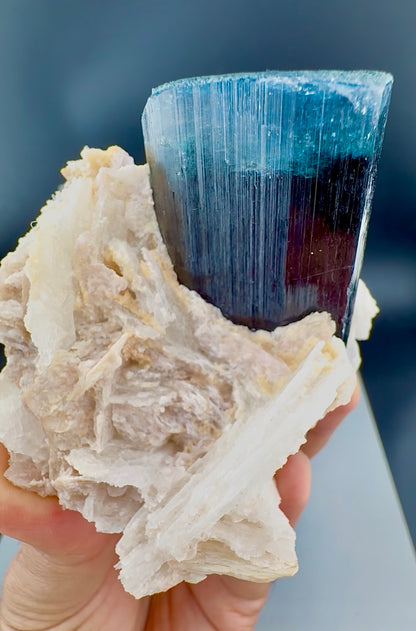 Blue Cap Tourmaline with Cleavlandite Albite from Afghanistan, 310 gran
