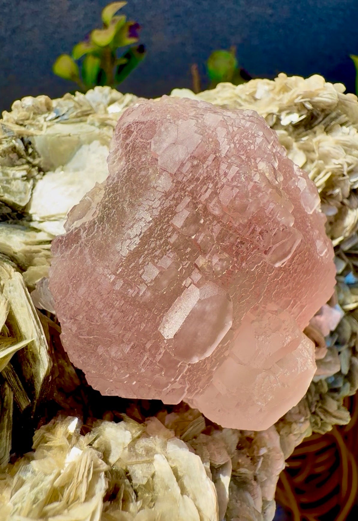 Pink Fluorite on Mica from Pakistan , 1436 gram