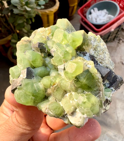Peridot Crystals with Magnetite from Pakistan, 203 gram