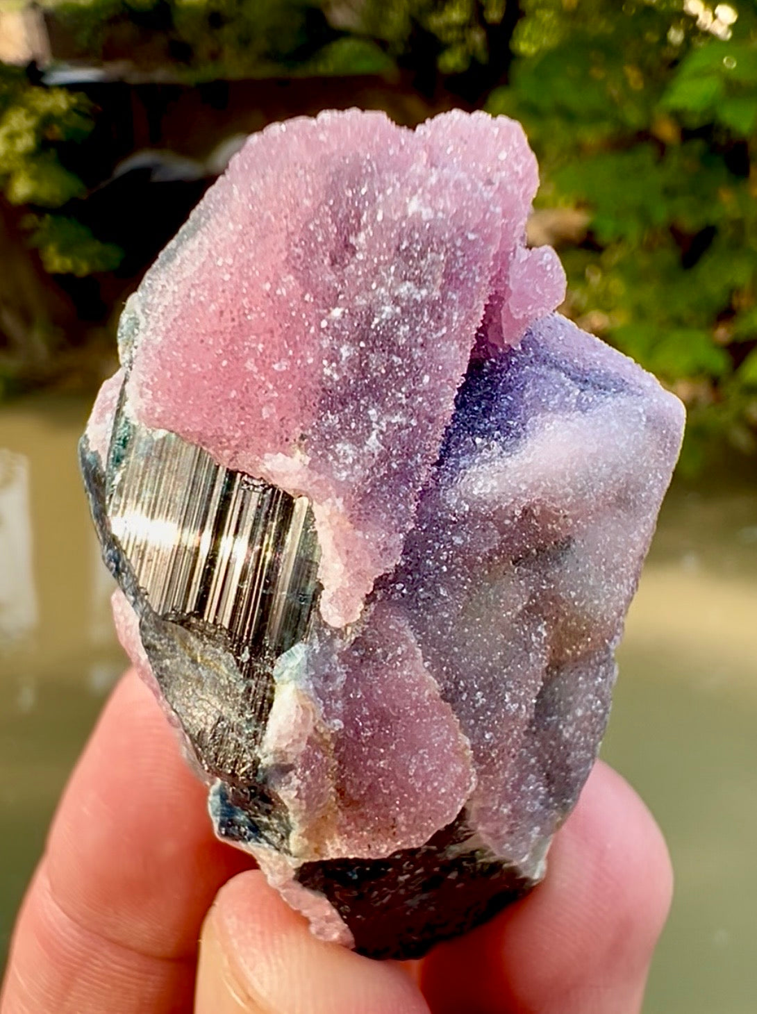 Crystallized Rose Quartz on Schorl Tourmaline from Afghanistan, 56 gram
