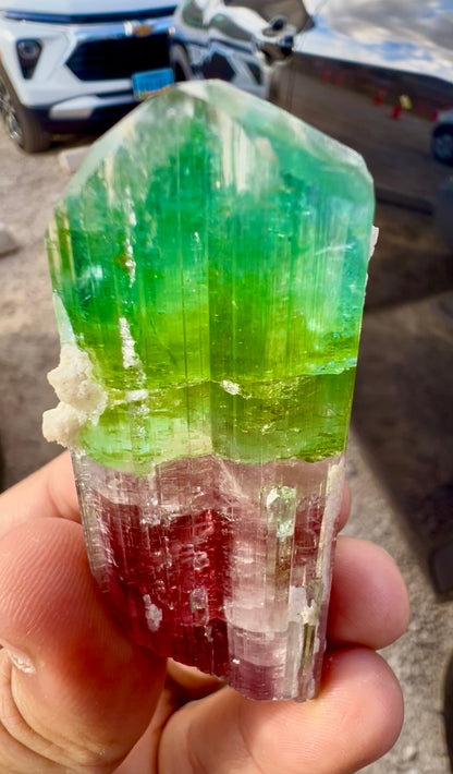 Watermelon Tourmaline Crystal with Lepidolite and Microlite from Paprok, 78 gram